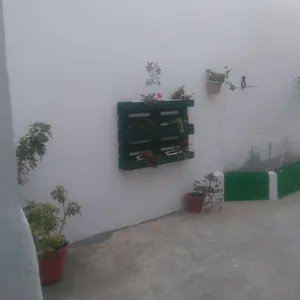 El Rincon Del Duende Vejer de la Frontera